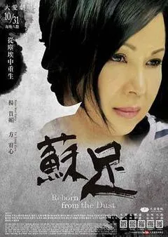 2016中国台湾电视剧《苏足》「全集」1080p高清 4K网盘迅雷下载