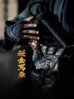 2024中国大陆电影《税金马车》1080p高清 4K网盘迅雷下载