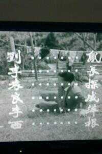 妓女谋杀案电视剧1080p高清 4K网盘迅雷下载