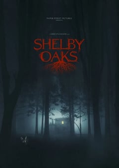 2024年美国惊悚片《寻踪迷镇》BD中英双字 4K迅雷完整版下载