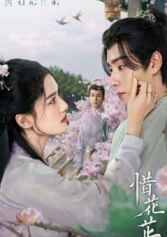 2024年国产大陆电视剧《惜花芷》全40集 4K迅雷完整版下载