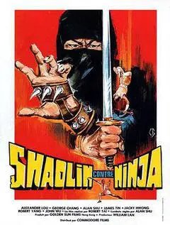 1983中国台湾电影《少林与忍者》1080p高清 4K网盘迅雷下载