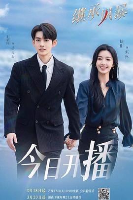 2025年大陆电视剧《继承风暴》 连载至第24集 [迅雷BT磁力免费下载]