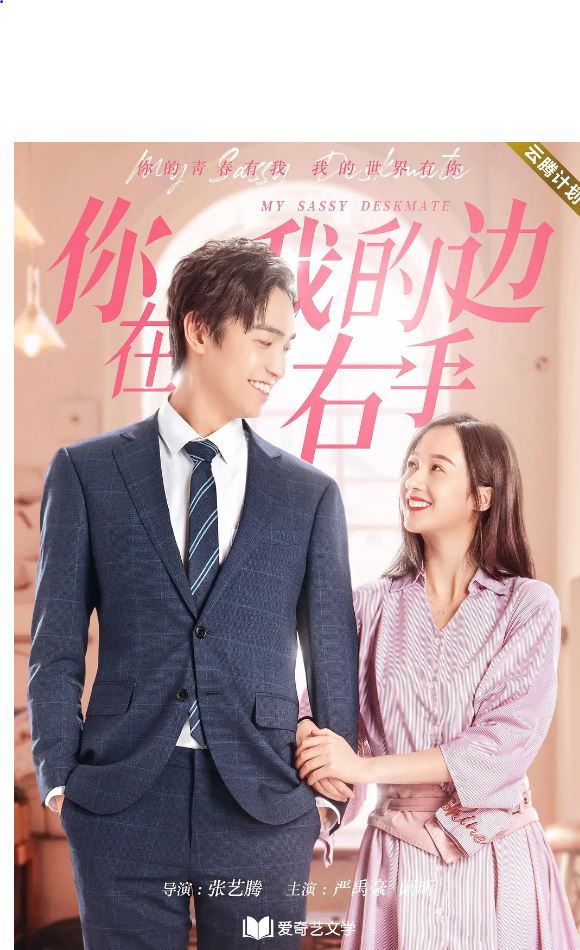 2020年国产电视剧《你在我的右手边》 全第24集 [迅雷BT磁力免费下载]