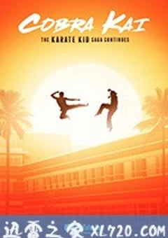眼镜蛇 第一季 Cobra Kai Season 1 (2018) 4K迅雷完整版下载