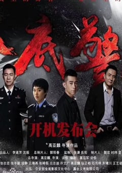 2023年国产大陆电视剧《卧底警花》全35集 4K迅雷完整版下载