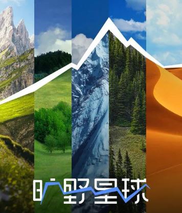 2025年国产综艺《旷野星球》 全20250811 4K迅雷完整版下载