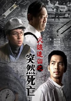 2009年国产经典动作片《火线追凶之突然死亡》HD国语中字 4K迅雷完整版下载