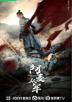 2024年国产大陆电视剧《阿麦从军》全36集 [迅雷BT磁力免费下载]