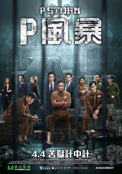 2019年中国香港经典动作犯罪片《反贪风暴4》蓝光国粤双语中字 4K迅雷完整版下载