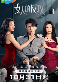2024年国产大陆电视剧《女人的反攻》全24集 4K迅雷完整版下载