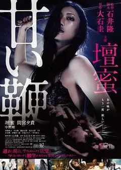 2013日本电影《甜蜜皮鞭》1080p高清 4K网盘迅雷下载