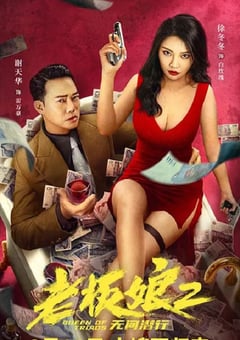 2022年国产剧情犯罪片《老板娘2无间潜行》HD国语中字 4K迅雷完整版下载