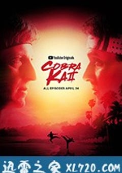 眼镜蛇 第二季 Cobra Kai Season 2 (2019) 4K迅雷完整版下载